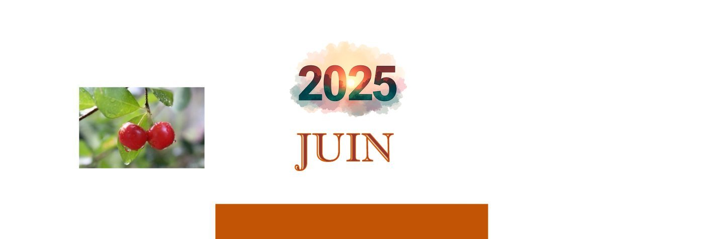 JUIN_2025