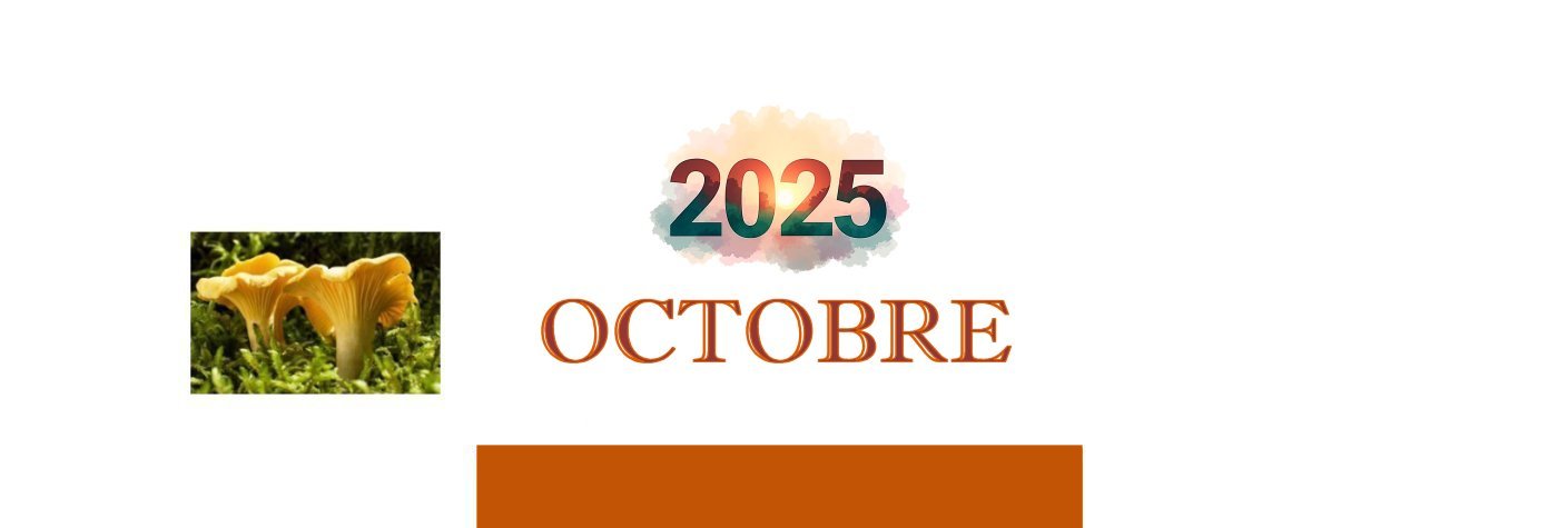 Octobre2023