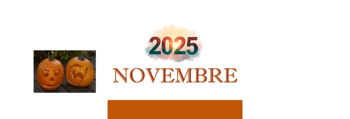 novembre._2025