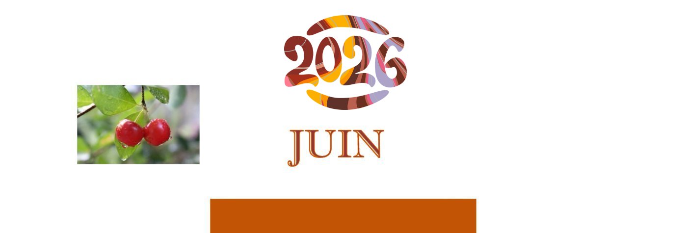 JUIN_2026
